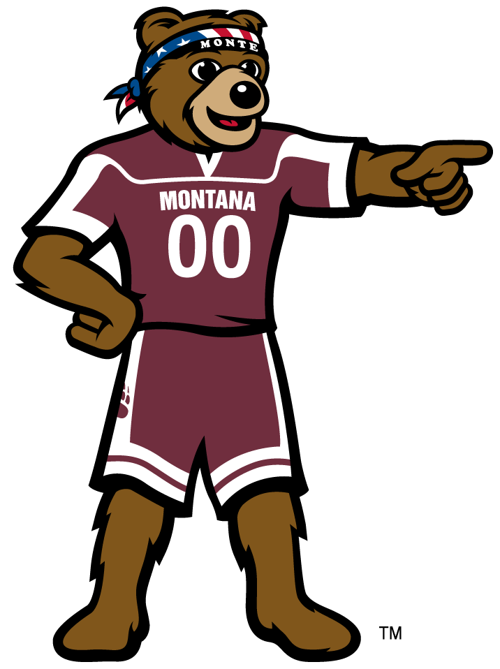 Montana Grizzlies 2010-Pres Mascot Logo v4 DIY iron on transfer (heat transfer)